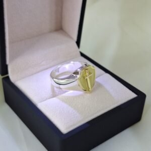 Anillo Escudo De Oro